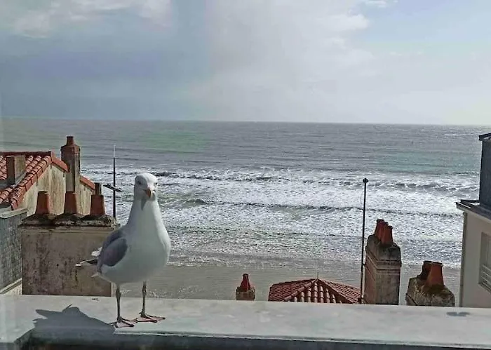 L'ocean, Face Avec Parking Prive *